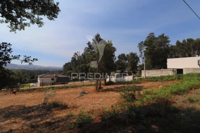 Terreno para Venda em Turiz