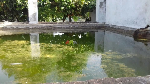 Moradia T7 para Venda em Serpa (Salvador e Santa Maria)