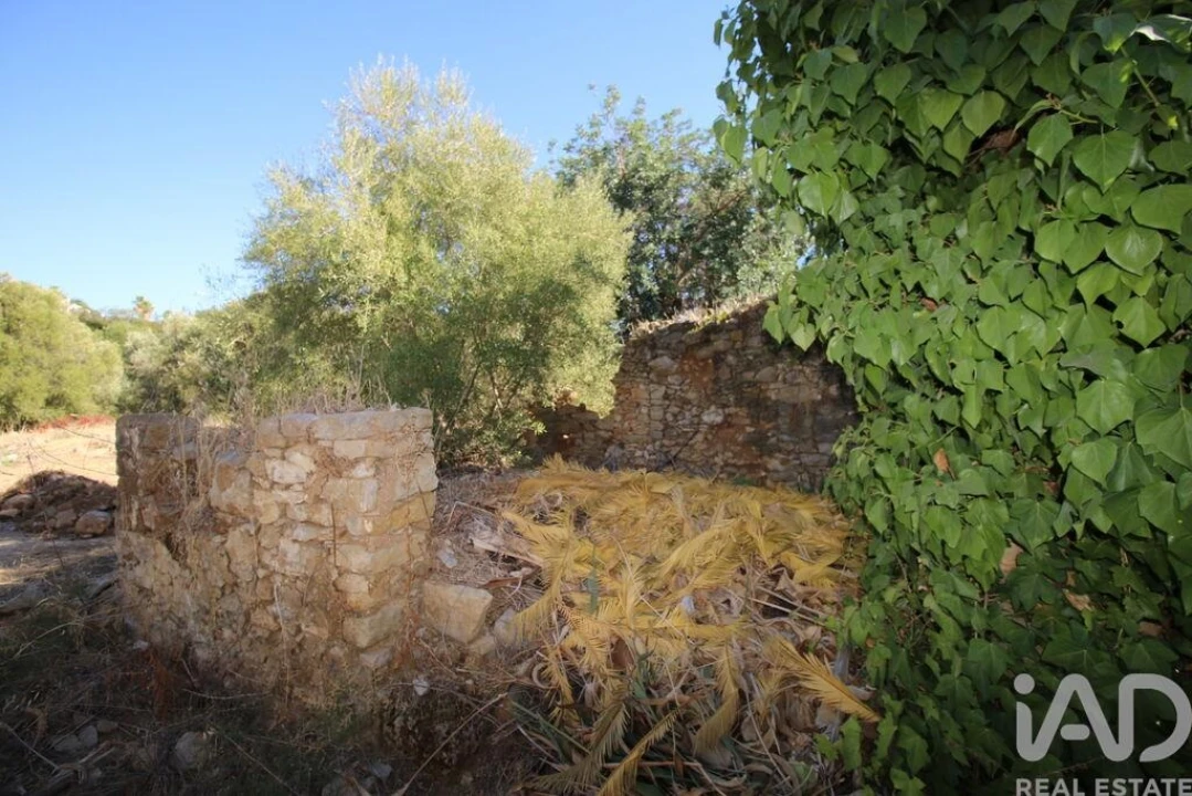 Terreno para Venda em Moncarapacho e Fuseta Foto 8