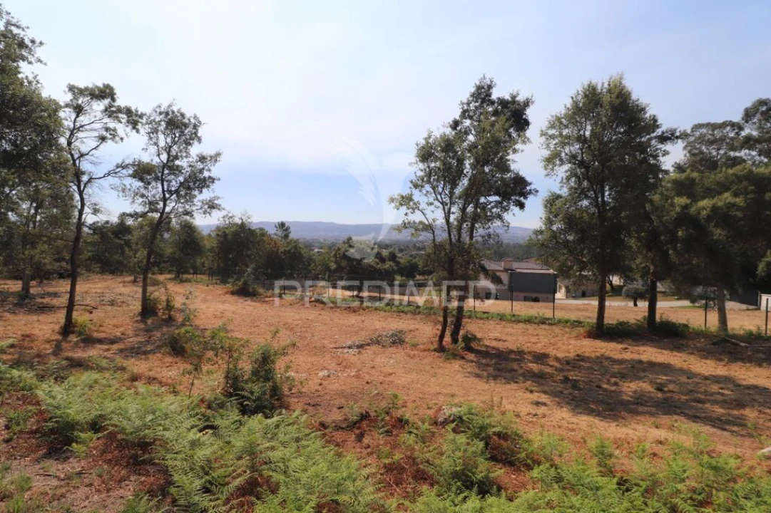 Terreno para Venda em Turiz Foto 6