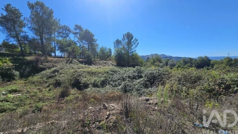 Terreno para Venda em Couto