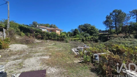 Terreno para Venda em Couto