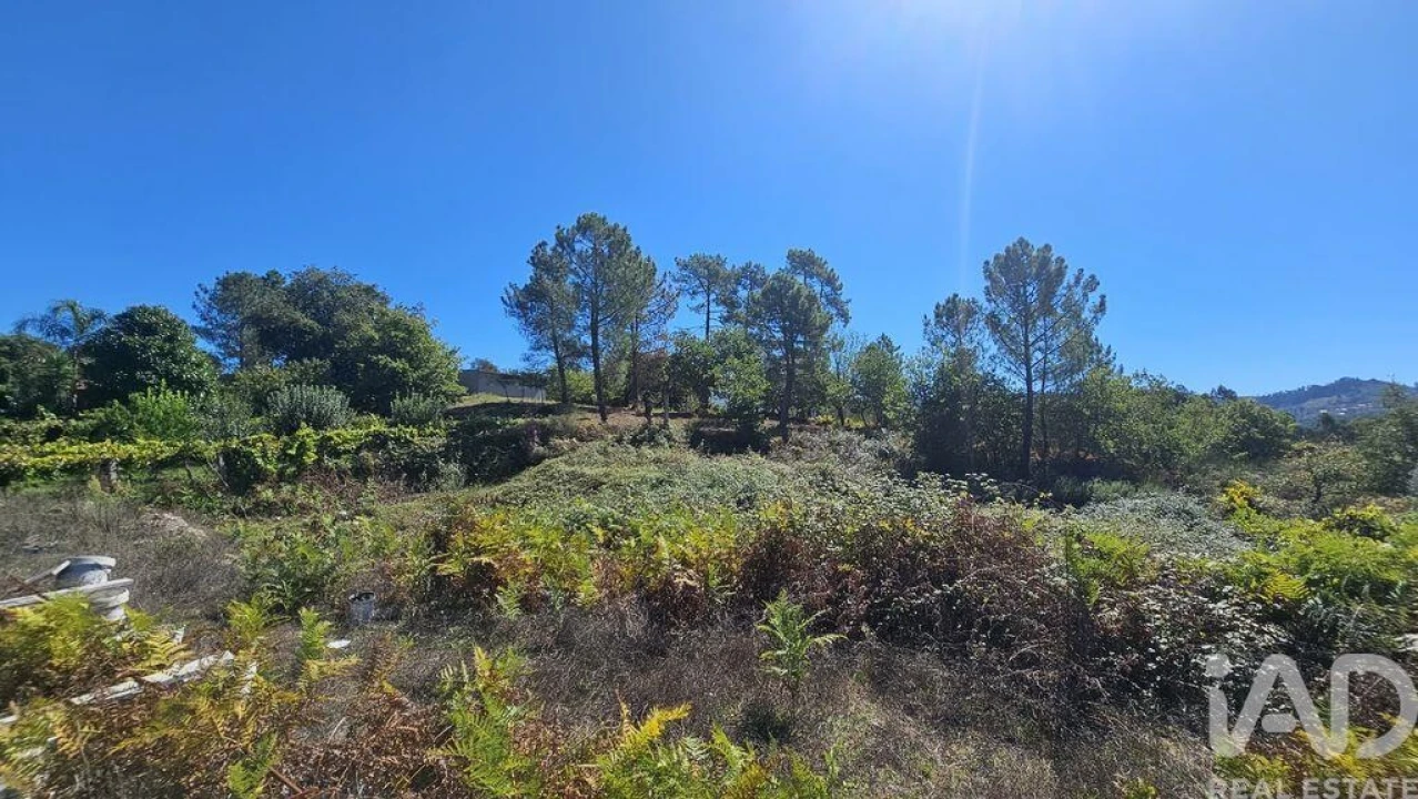 Terreno para Venda em Couto Foto 3