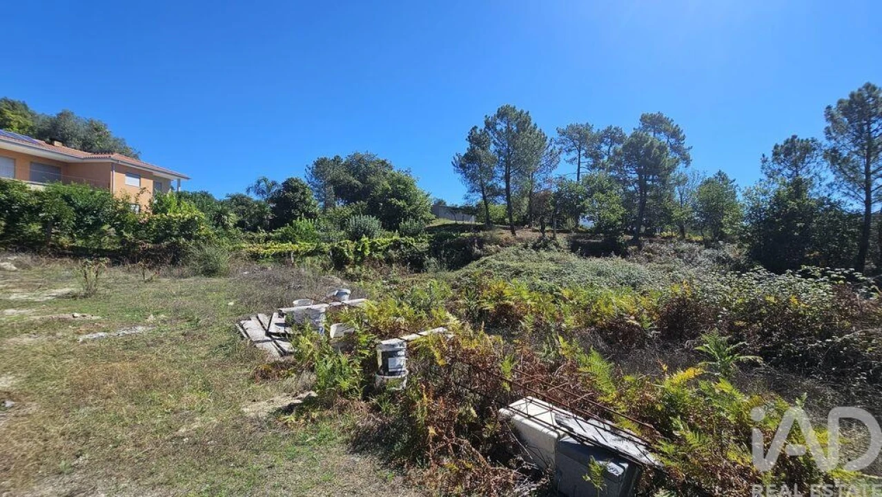 Terreno para Venda em Couto Foto 4