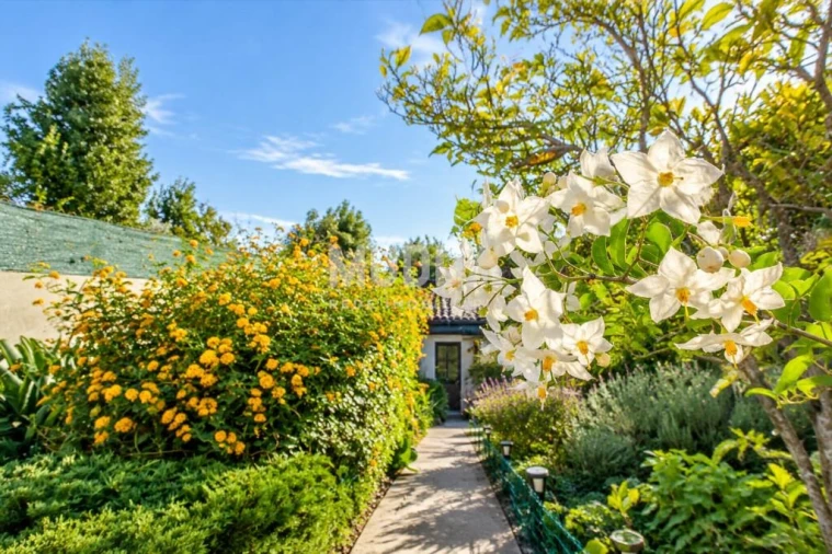 Moradia T2 para Venda em Ovar, São João, Arada e São Vicente de Pereira Jusã Foto 42