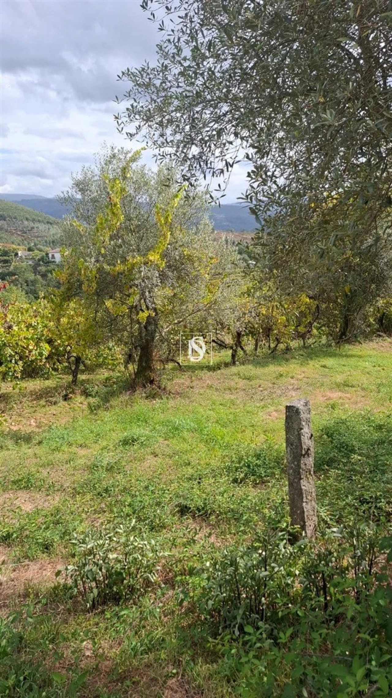 Moradia T2 para Venda em Vila Garcia, Aboim e Chapa Foto 24