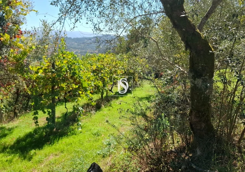 Moradia T2 para Venda em Vila Garcia, Aboim e Chapa Foto 18