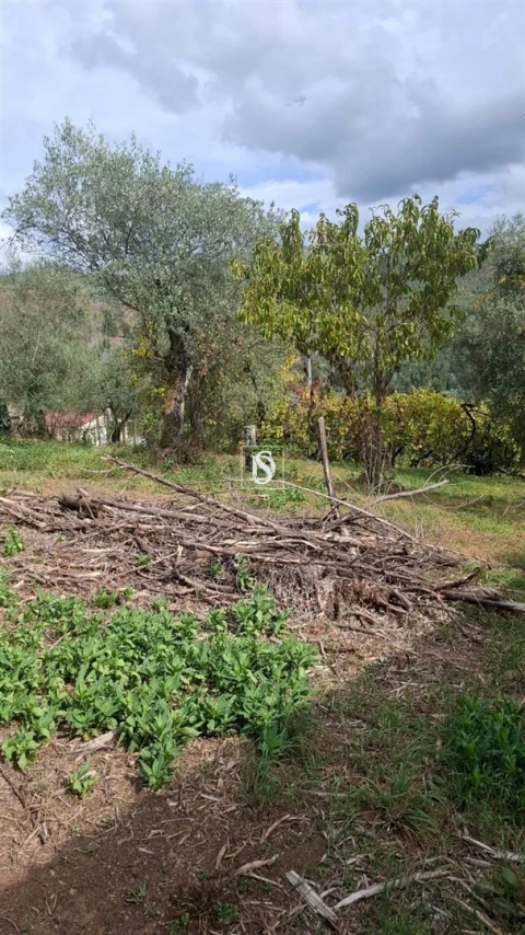 Moradia T2 para Venda em Vila Garcia, Aboim e Chapa