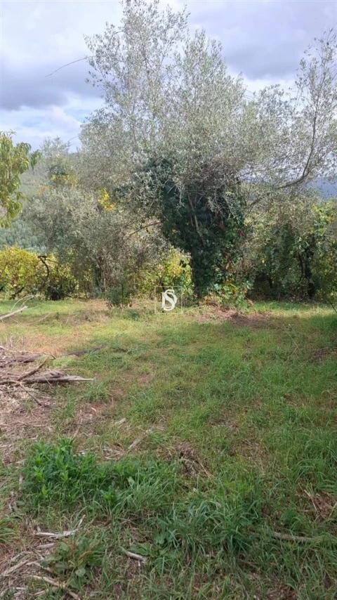 Moradia T2 para Venda em Vila Garcia, Aboim e Chapa