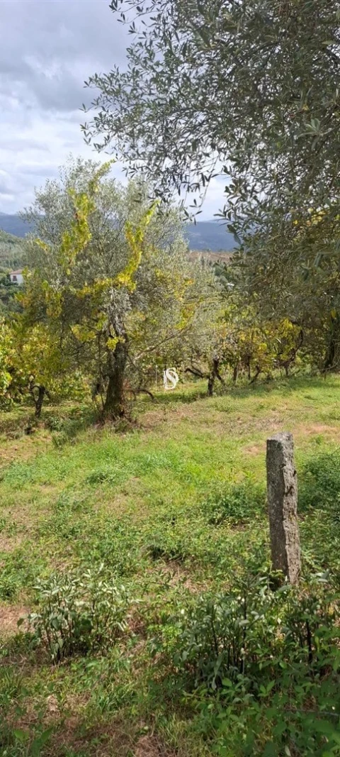 Moradia T2 para Venda em Vila Garcia, Aboim e Chapa