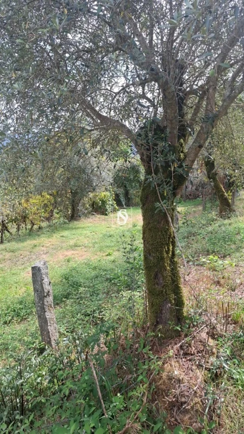 Moradia T2 para Venda em Vila Garcia, Aboim e Chapa