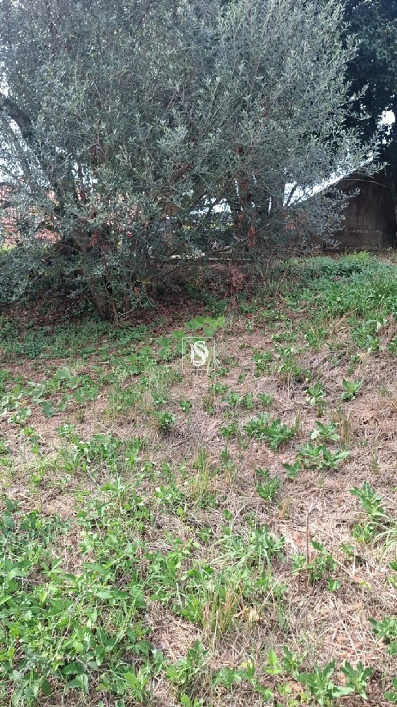 Moradia T2 para Venda em Vila Garcia, Aboim e Chapa Foto 25