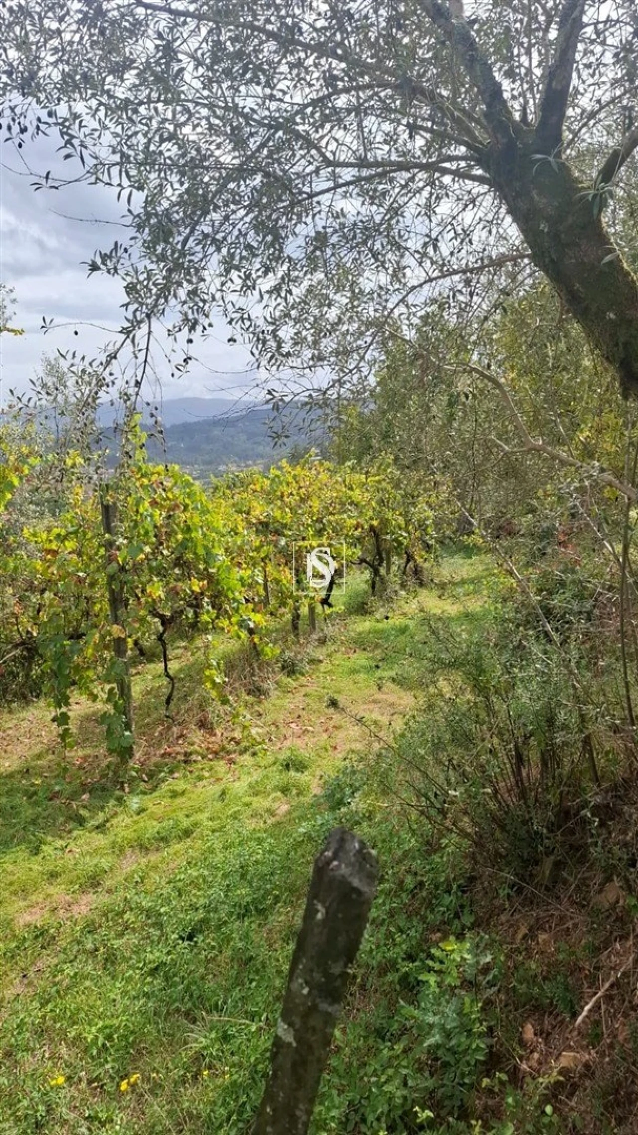 Moradia T2 para Venda em Vila Garcia, Aboim e Chapa Foto 27