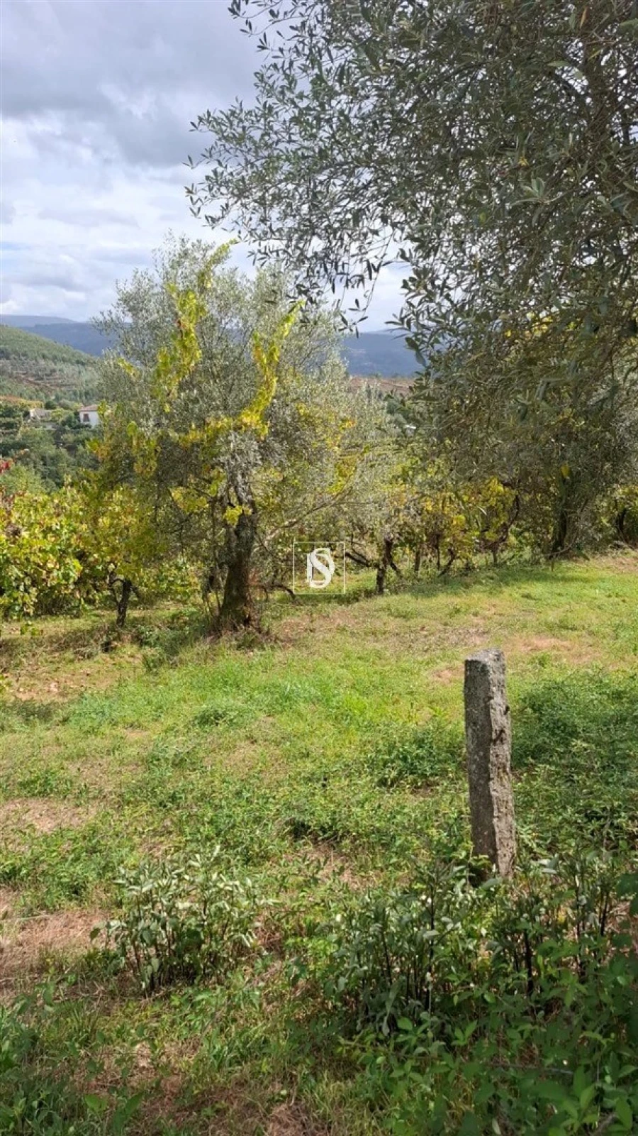 Moradia T2 para Venda em Vila Garcia, Aboim e Chapa Foto 24