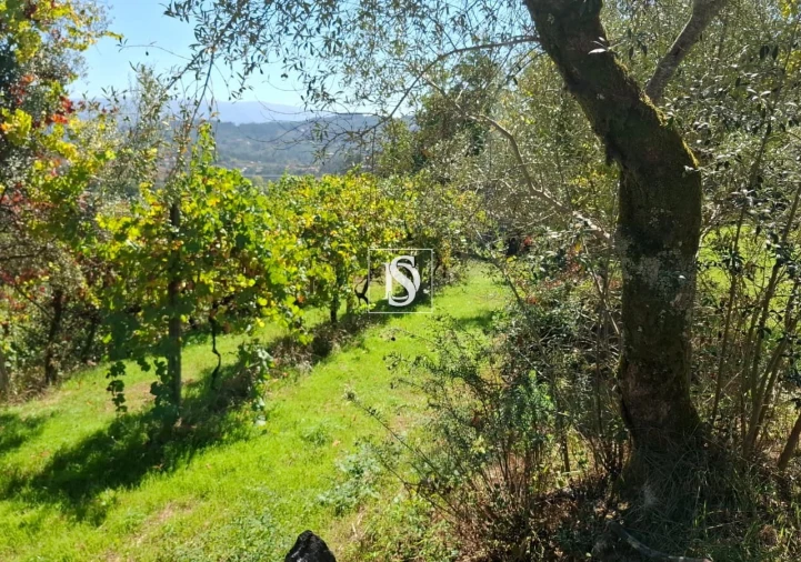 Moradia T2 para Venda em Vila Garcia, Aboim e Chapa Foto 18