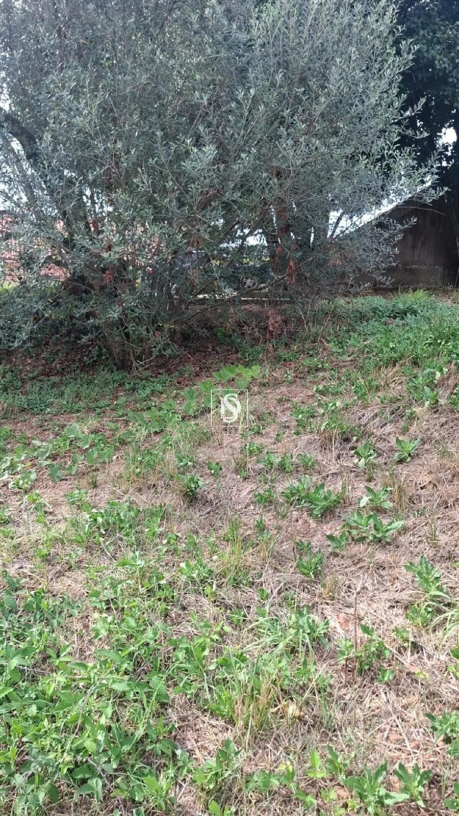Moradia T2 para Venda em Vila Garcia, Aboim e Chapa Foto 25