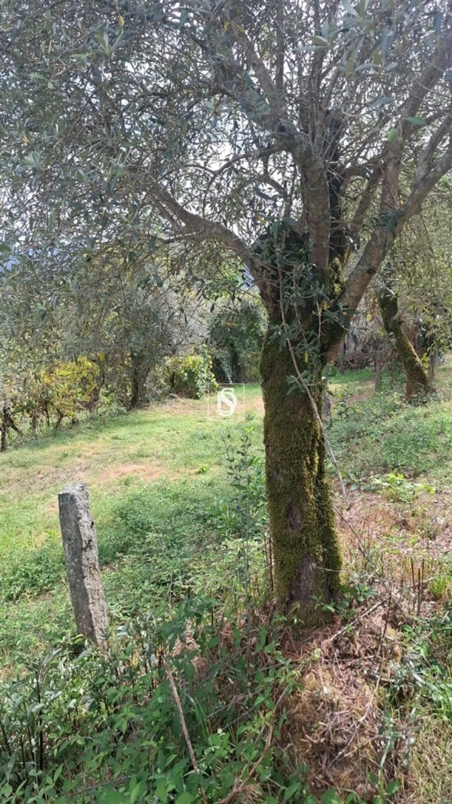 Moradia T2 para Venda em Vila Garcia, Aboim e Chapa Foto 21