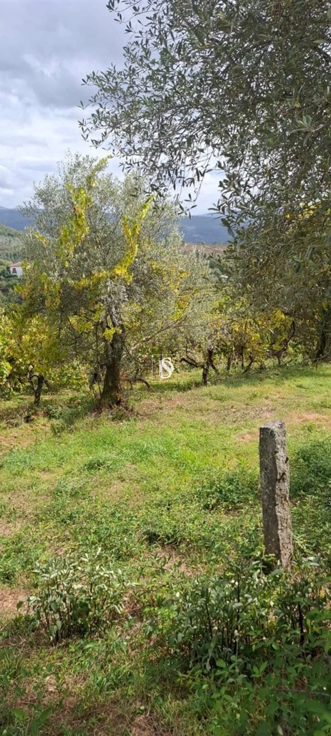 Moradia T2 para Venda em Vila Garcia, Aboim e Chapa Foto 15