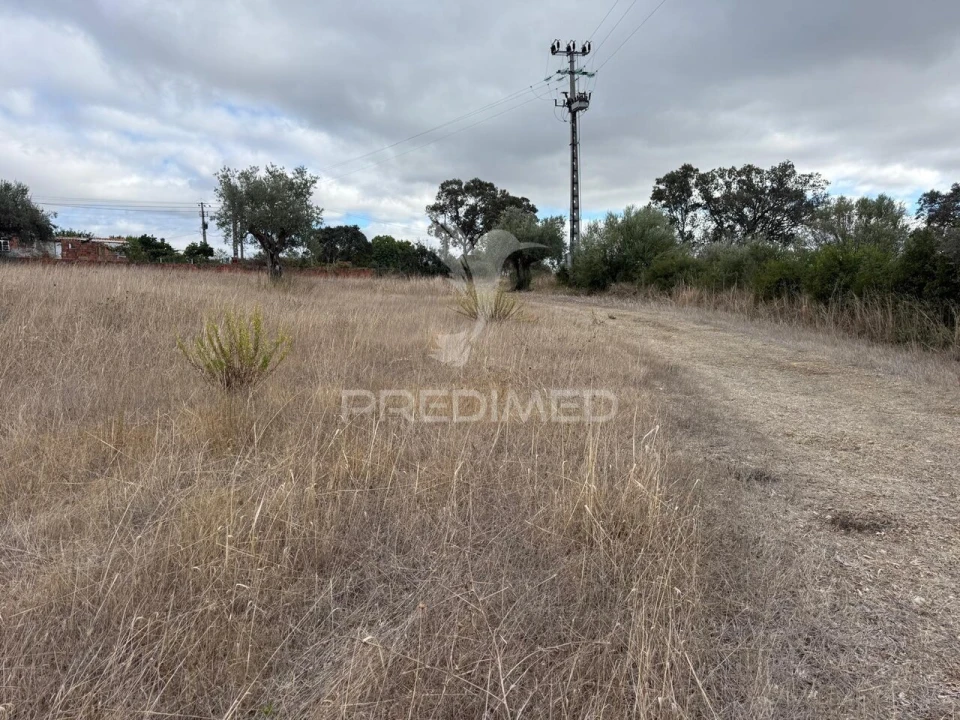 Terreno para Venda em Pernes Foto 20
