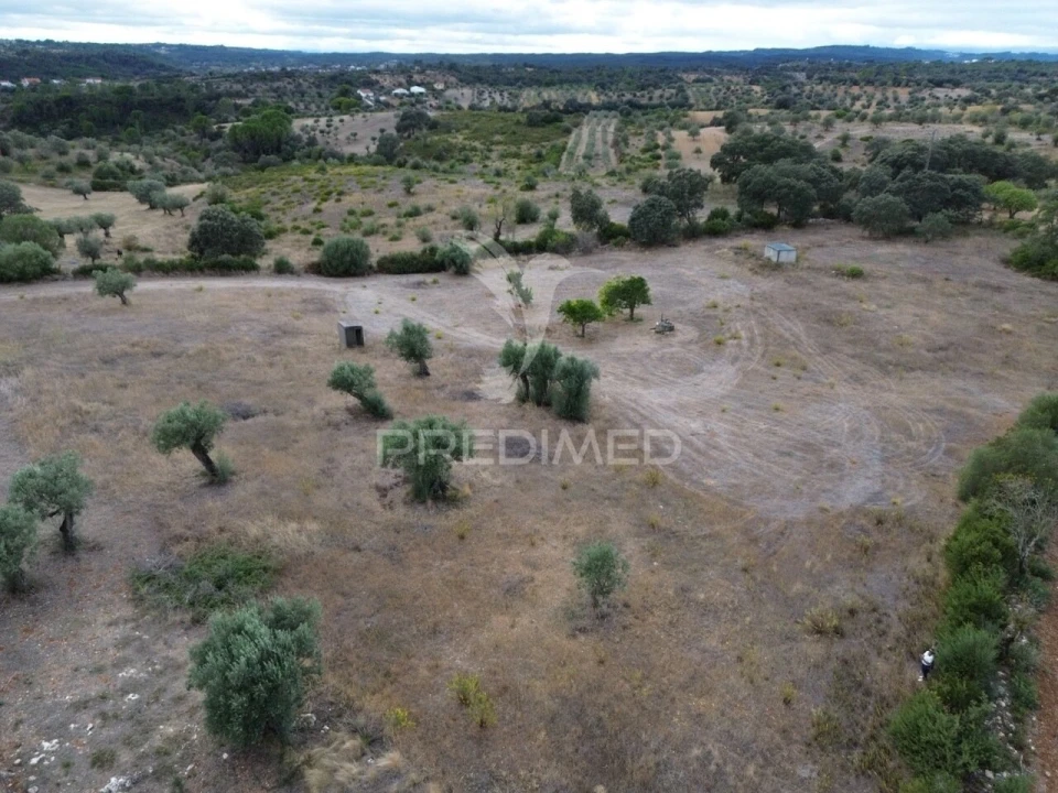 Terreno para Venda em Pernes Foto 3