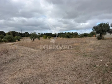 Terreno para Venda em Pernes