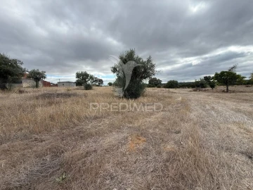 Terreno para Venda em Pernes