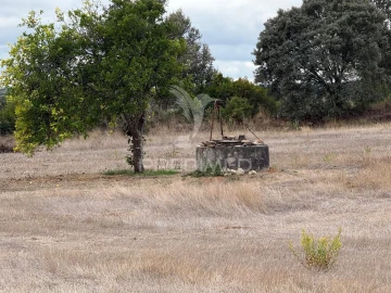 Terreno para Venda em Pernes
