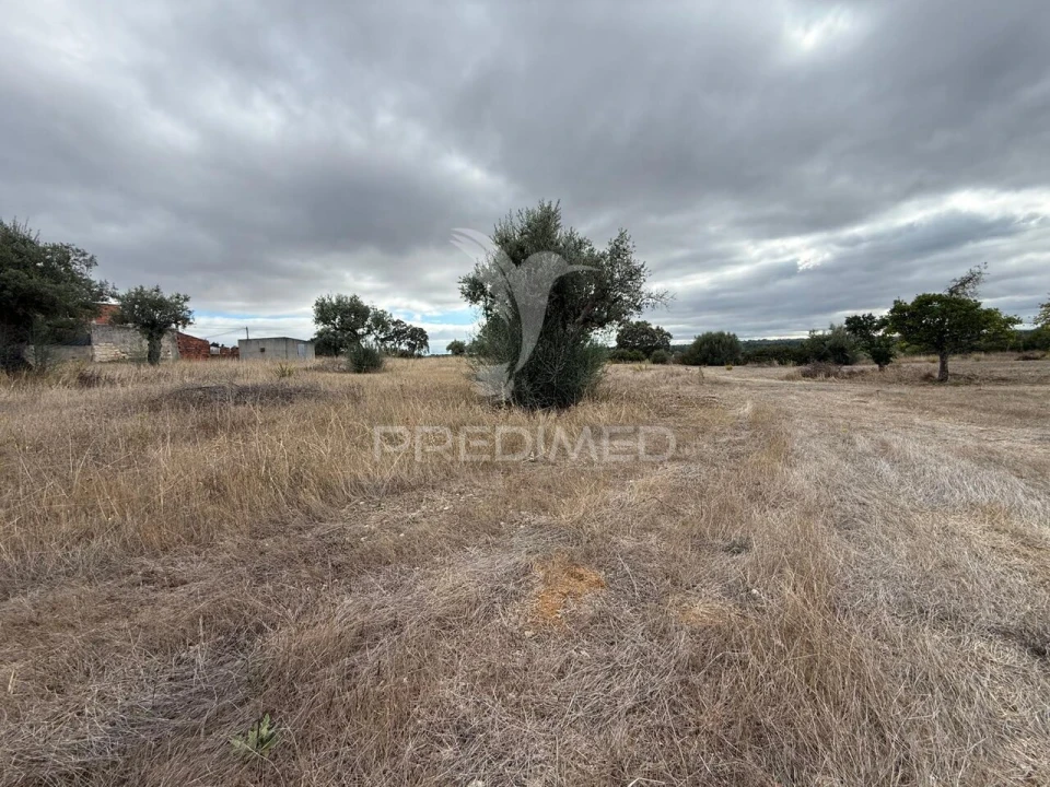 Terreno para Venda em Pernes Foto 19