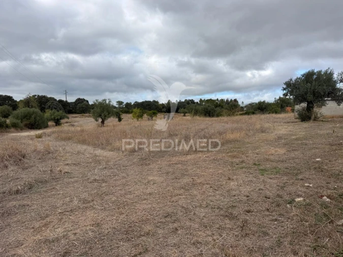 Terreno para Venda em Pernes Foto 10
