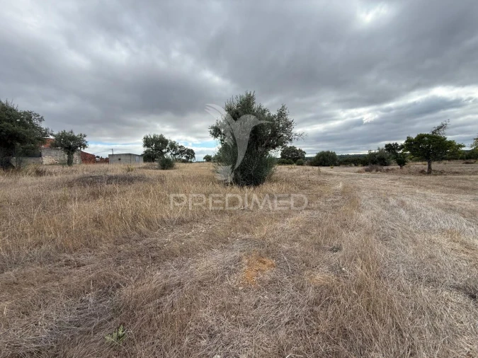 Terreno para Venda em Pernes Foto 19