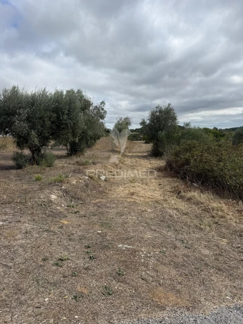 Terreno para Venda em Pernes