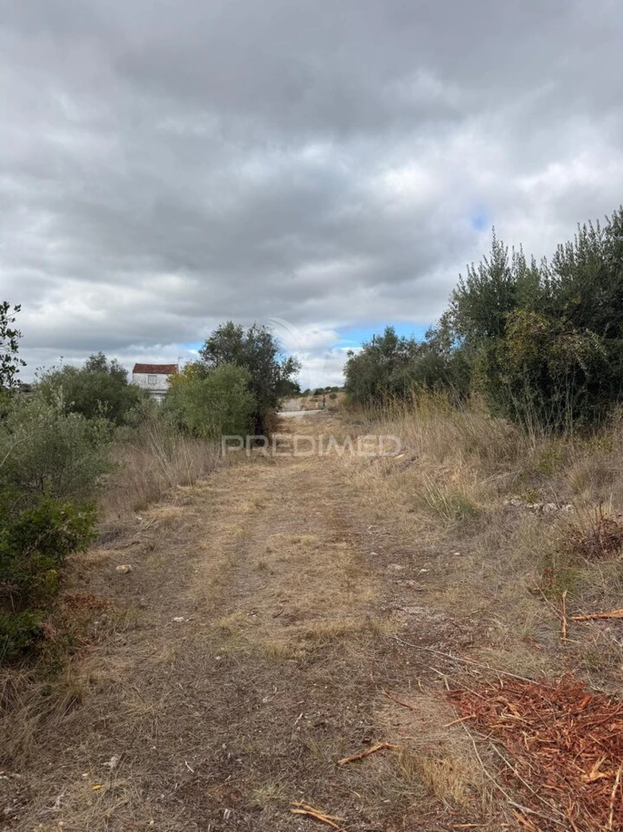Terreno para Venda em Pernes Foto 16