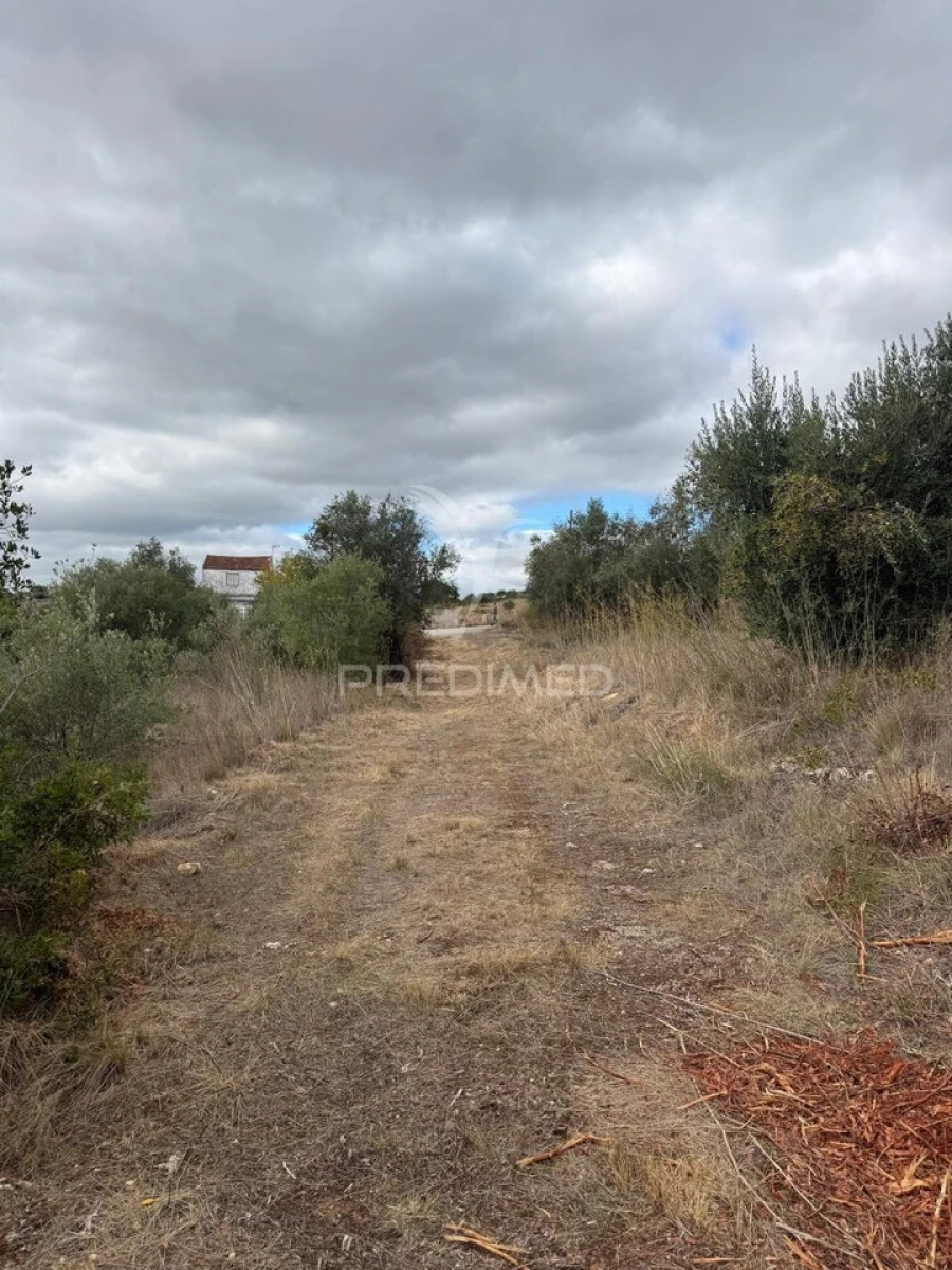 Terreno para Venda em Pernes Foto 16