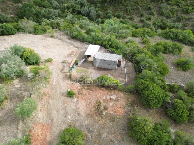 Terreno para Venda em Pernes Foto 6