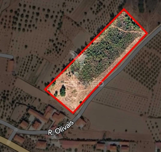 Terreno para Venda em Passos Foto 2
