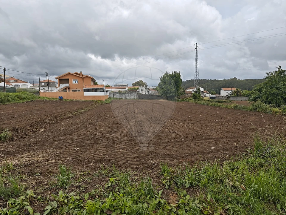 Terreno para Venda em Lourosa Foto 6