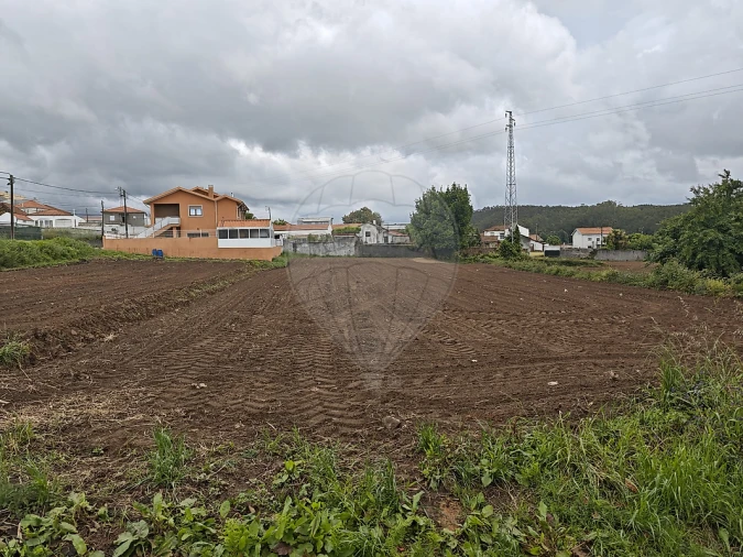 Terreno para Venda em Lourosa Foto 6