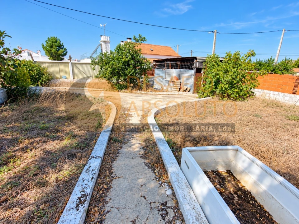 Terreno Agricola ou Rústico para Venda em Quinta do Anjo Foto 17
