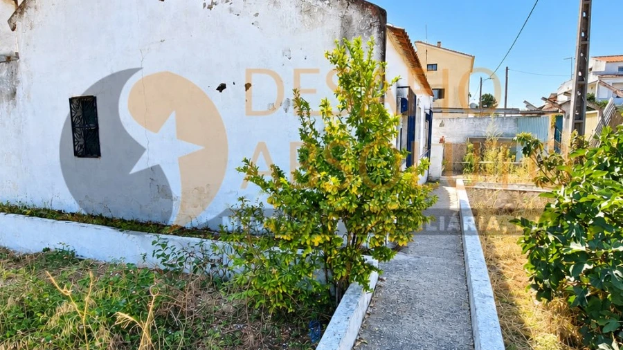Terreno Agricola ou Rústico para Venda em Quinta do Anjo