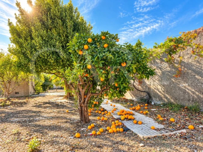 Moradia T4 para Venda em Alcabideche Foto 34