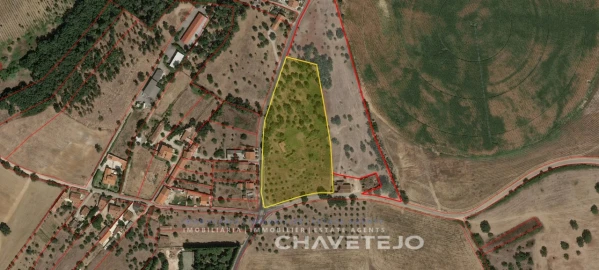 Moradia T3 para Venda em São João Baptista e Santa Maria dos Olivais
