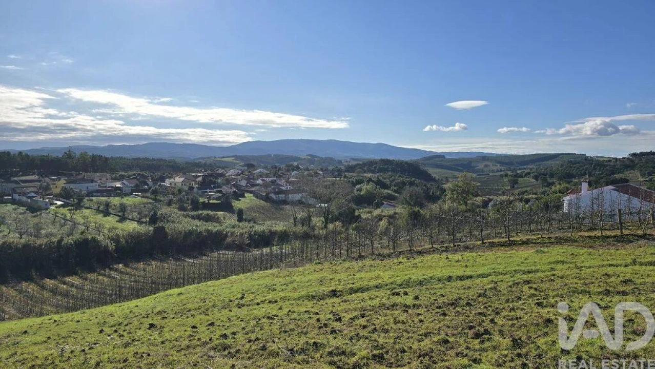 Terreno para Venda em Peral Foto 4