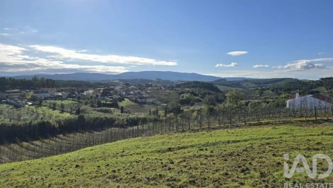 Terreno para Venda em Peral