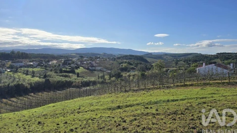 Terreno para Venda em Peral