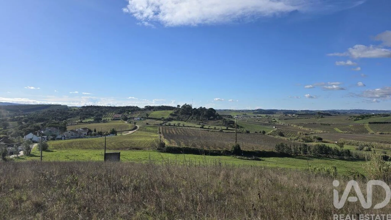 Terreno para Venda em Peral Foto 5