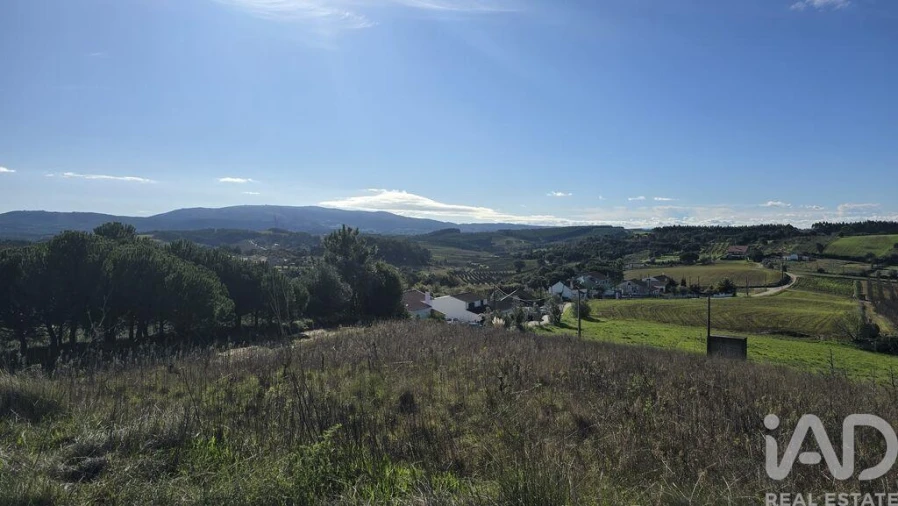Terreno para Venda em Peral Foto 6