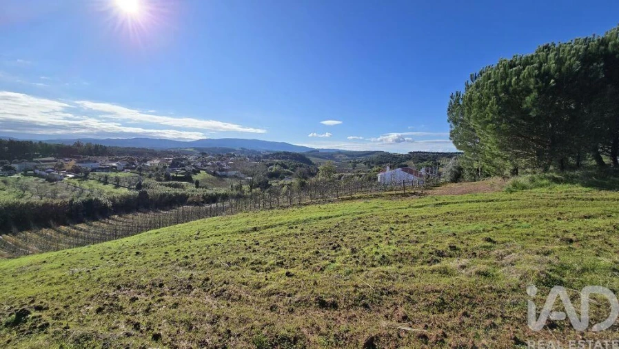 Terreno para Venda em Peral Foto 3