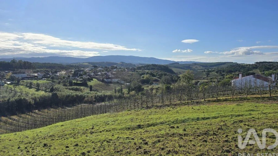 Terreno para Venda em Peral
