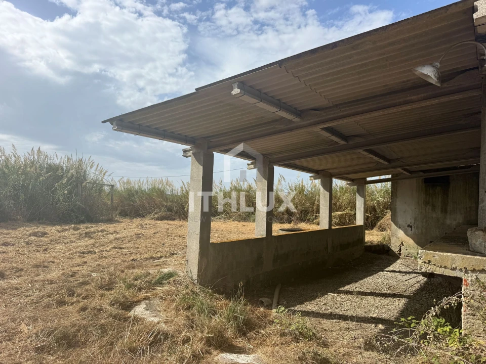 Armazém para Venda em Reguengo Grande Foto 2