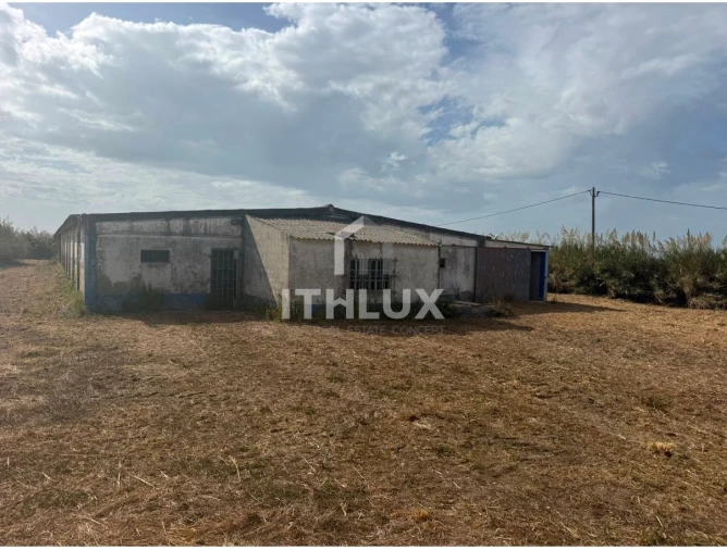 Armazém para Venda em Reguengo Grande Foto 26
